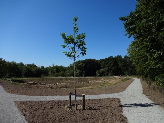 Een deel van natuurpark Wolvenberg op het moment van de gedeeltelijke openstelling in mei 2020