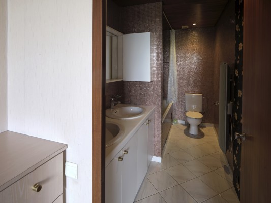 Badkamer met wastafel, douche en toilet