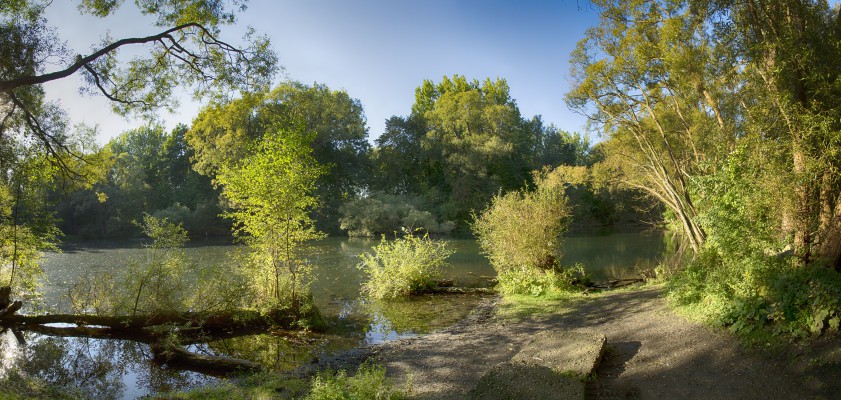 Het natuurgebied Wolvenberg, dat je hier ziet, maakt deel uit van het masterplan Park Brialmont en zal grenzen aan het Natuurpark Wolvenberg 