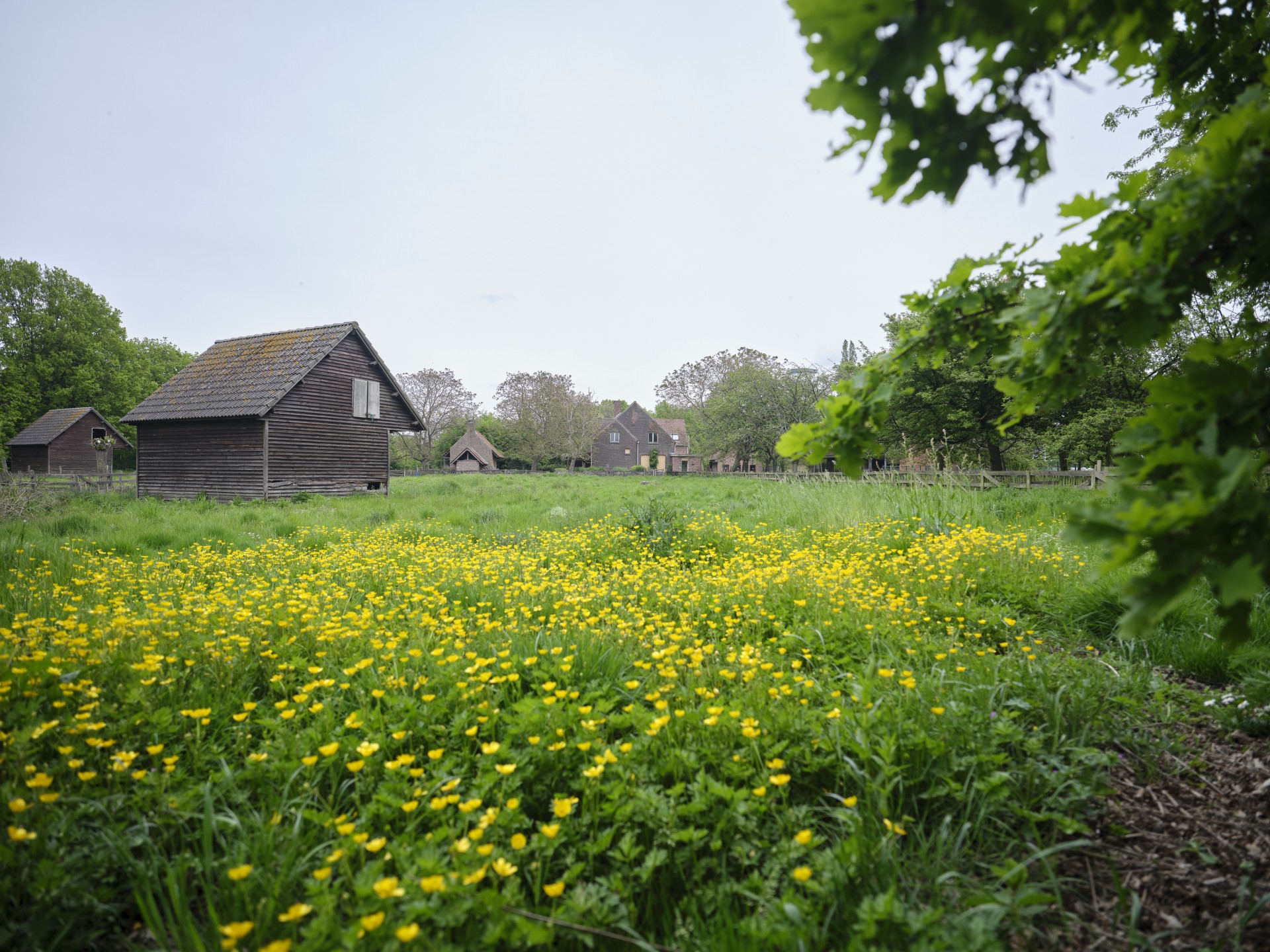 Kinderboerderij Wilrijk