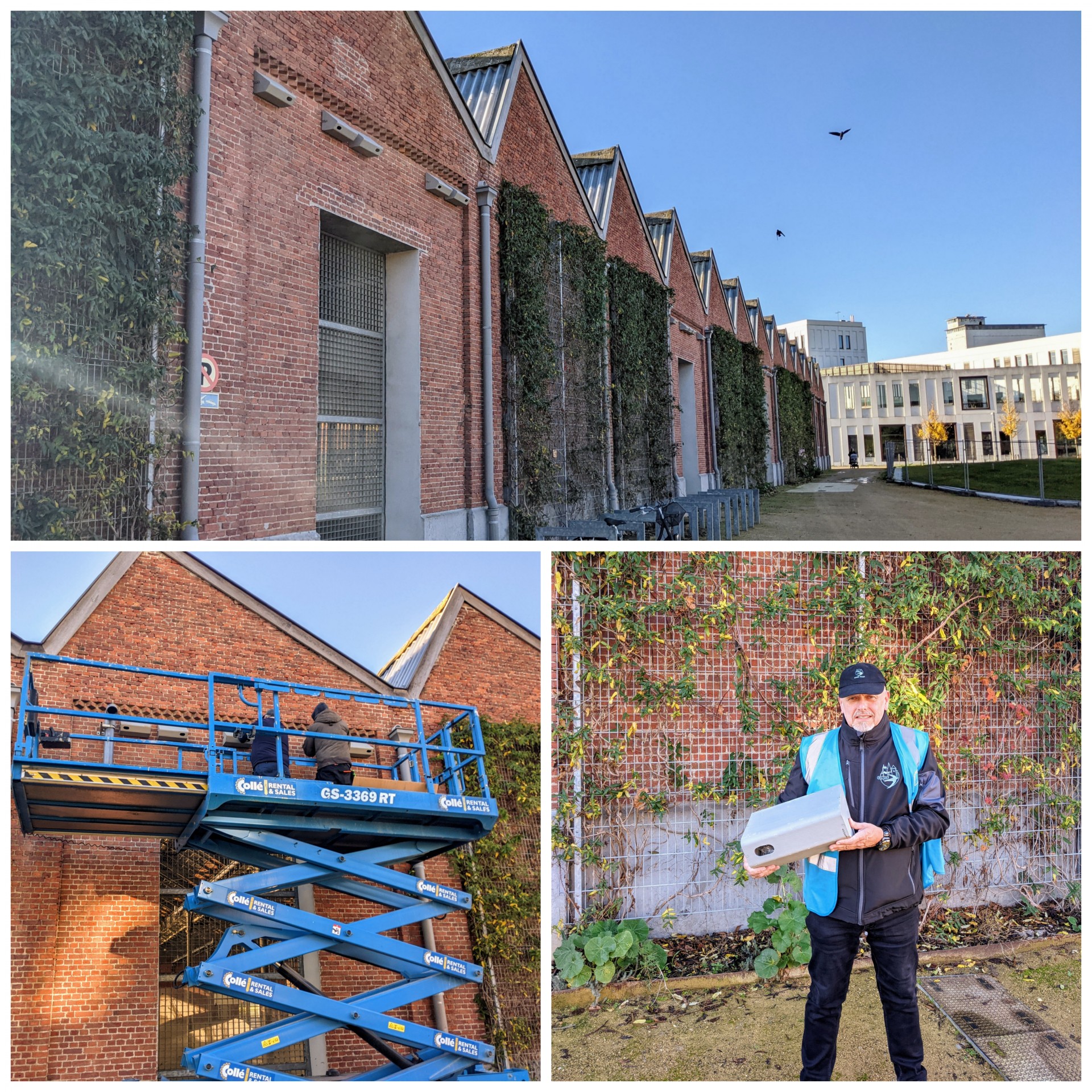 Installatie van nestkasten aan de gevel van het voormalig spoorweggebouw in Park Spoor Noord.
