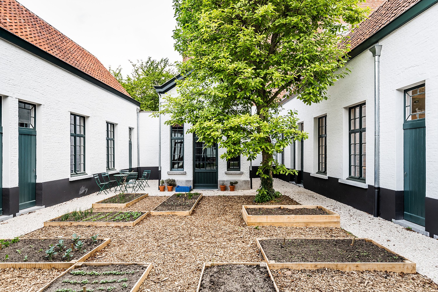 Binnentuin met moestuin en boom 