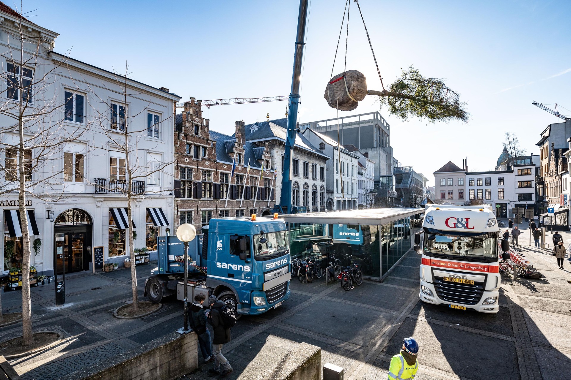 Grote zwarte eik wordt met kraan over het museum getild.