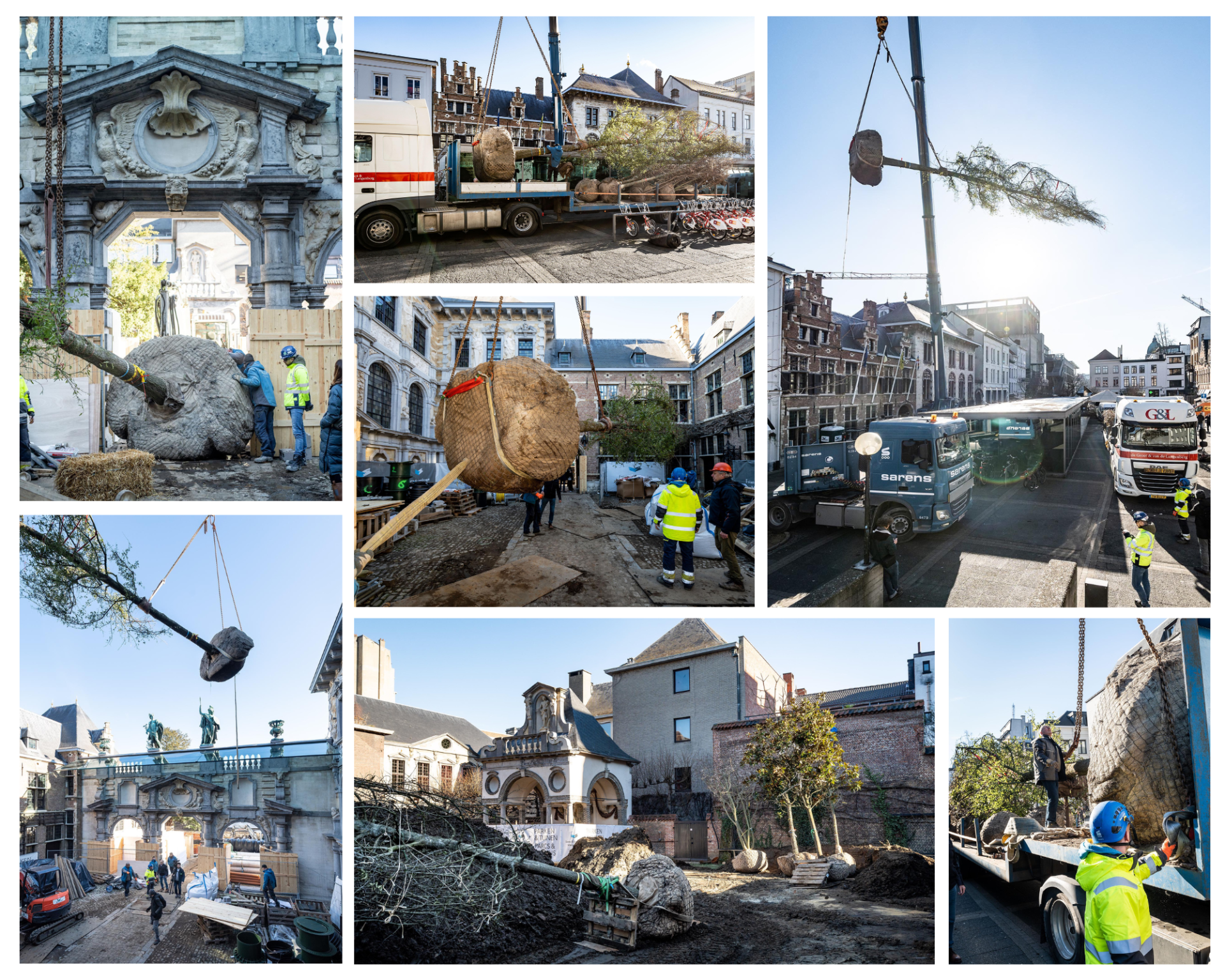 Een grote boom wordt over het Rubenshuis getild met een bouwkraan.