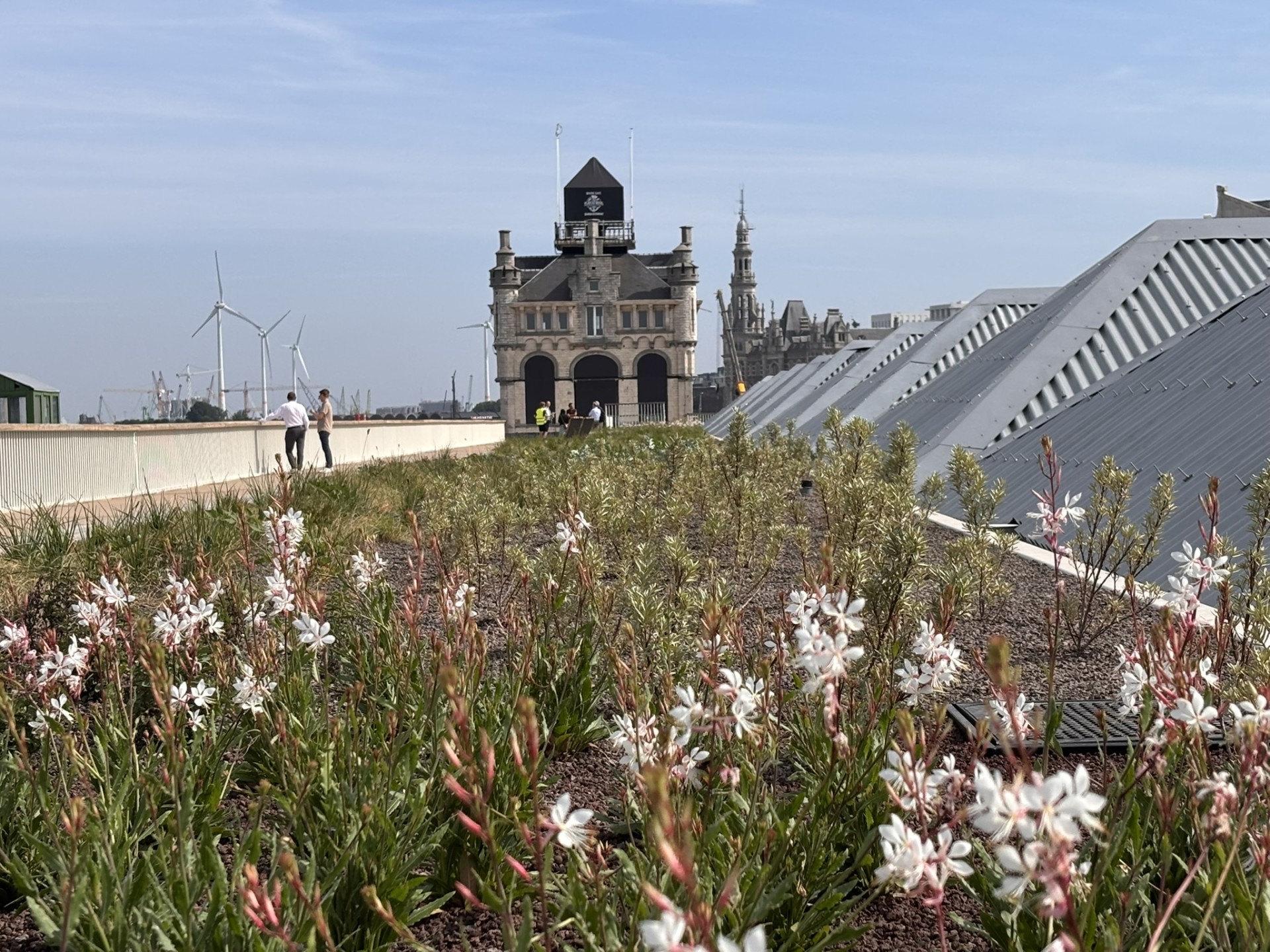 Grote bloembak met lage beplanting naast de daken van de historische hangars