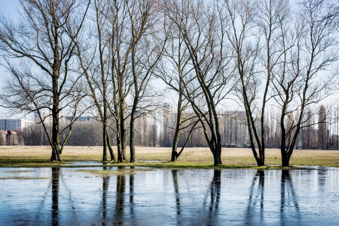 Park Middenvijver