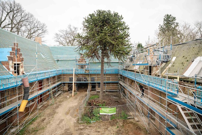 Binnentuin vierkantshoeve in restauratie met boom