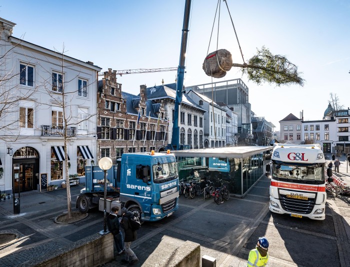 Grote zwarte eik wordt met kraan over het museum getild.
