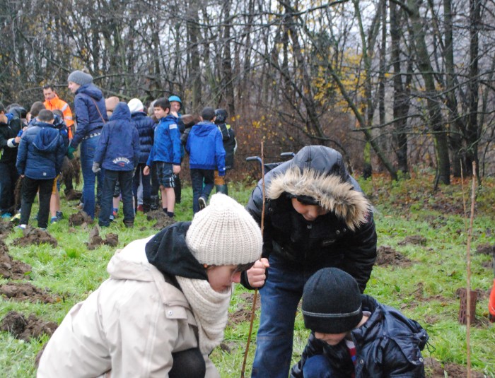 Boomplantactie Groene Singel