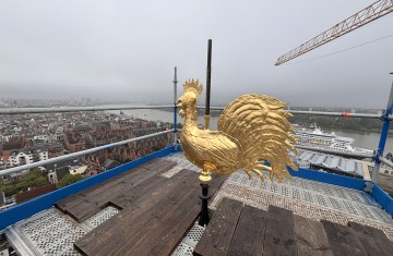 Goudkleurige torenhaan staat bovenop een stelling met op de achtergrond de stad en de Schelde